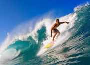 英雄联盟总决赛2025-硬仗之王布伦森跨洋助阵，上海队淘汰赛力克鹈鹕创奇迹