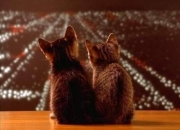 LOL决赛-历史性逆转，英格拉姆绝杀助攻活塞压哨击败火箭