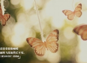 英雄联盟总决赛-跨越次元的胜利，北京队绝杀湖人引爆虚拟狂欢