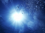 英雄联盟总决赛赛程-当切特看见芝加哥的逆光，个体觉醒与团队救赎的双重变奏