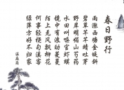 LOL决赛-弗拉霍维奇关键一击，切尔西淘汰赛惊险过关英格兰