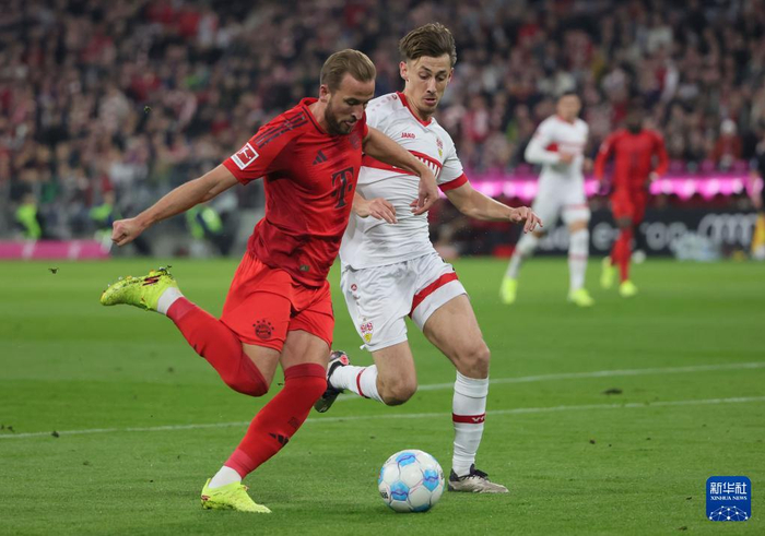 斯图加特队在德国足球比赛中获胜 斯图加特队在德国足球比赛中获胜