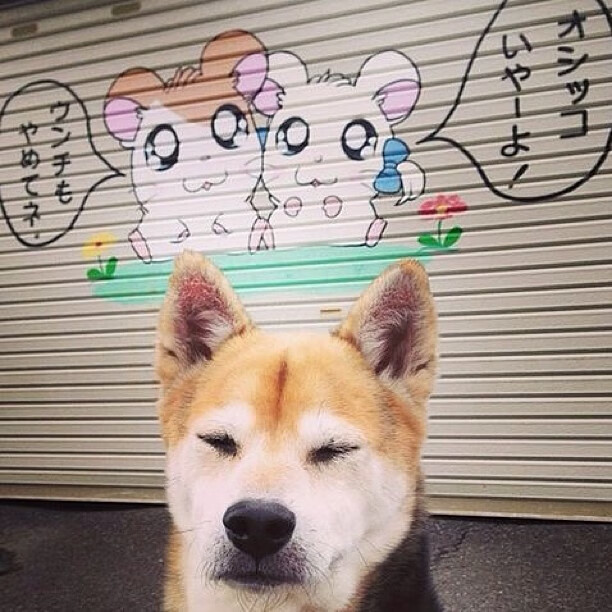 日灼天赋，星光乍现