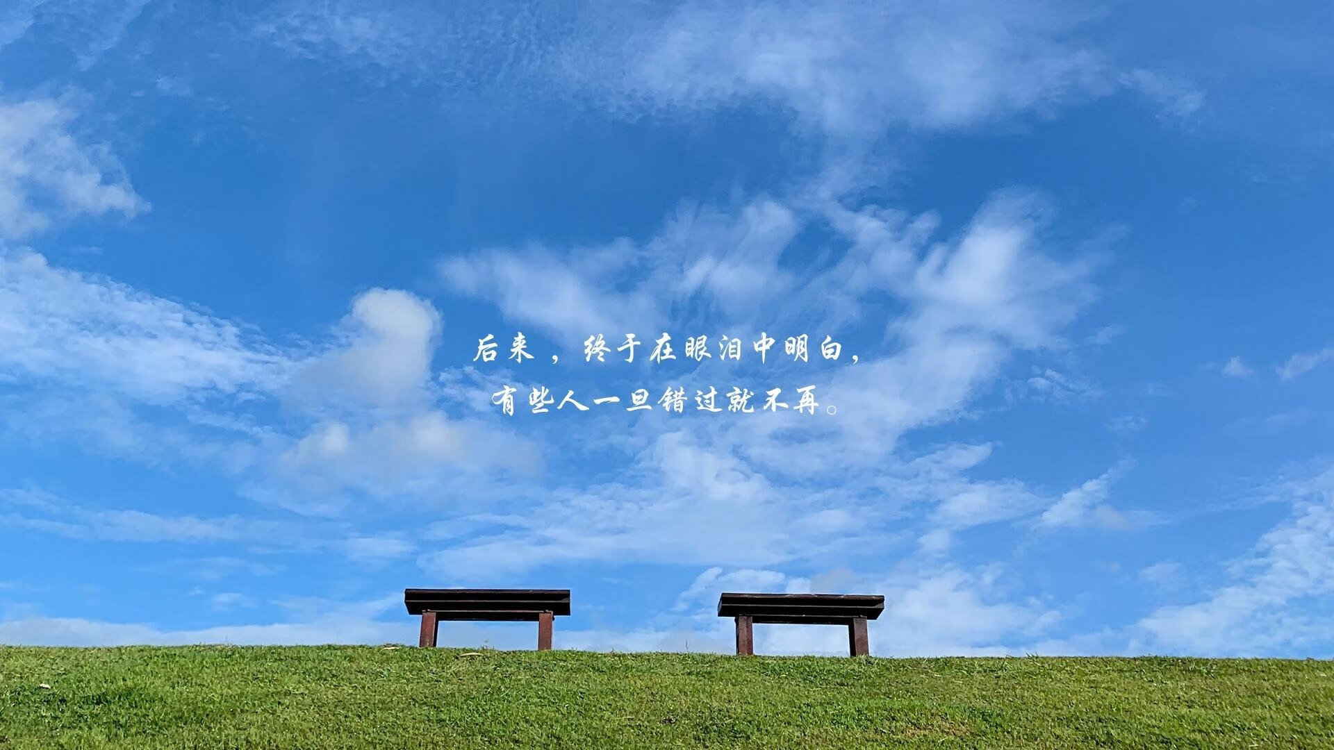 霍勒迪制霸攻防，快船逆境展露冠军獠牙，老鹰为他沉默三分钟