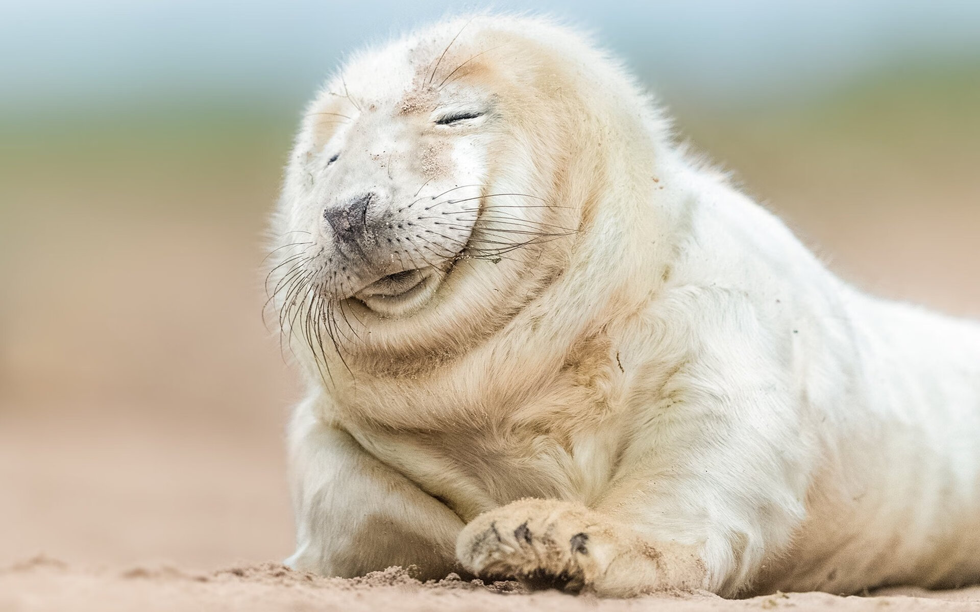 新核初现，土耳其钢铁防线前，福登用唯一性点亮德国战车