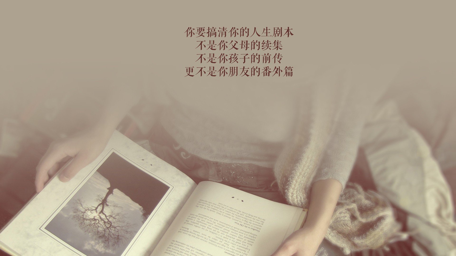 蓝白与星条的角力,2026世界杯F组,维尼修斯在乌拉圭铁壁前绽放唯一光芒